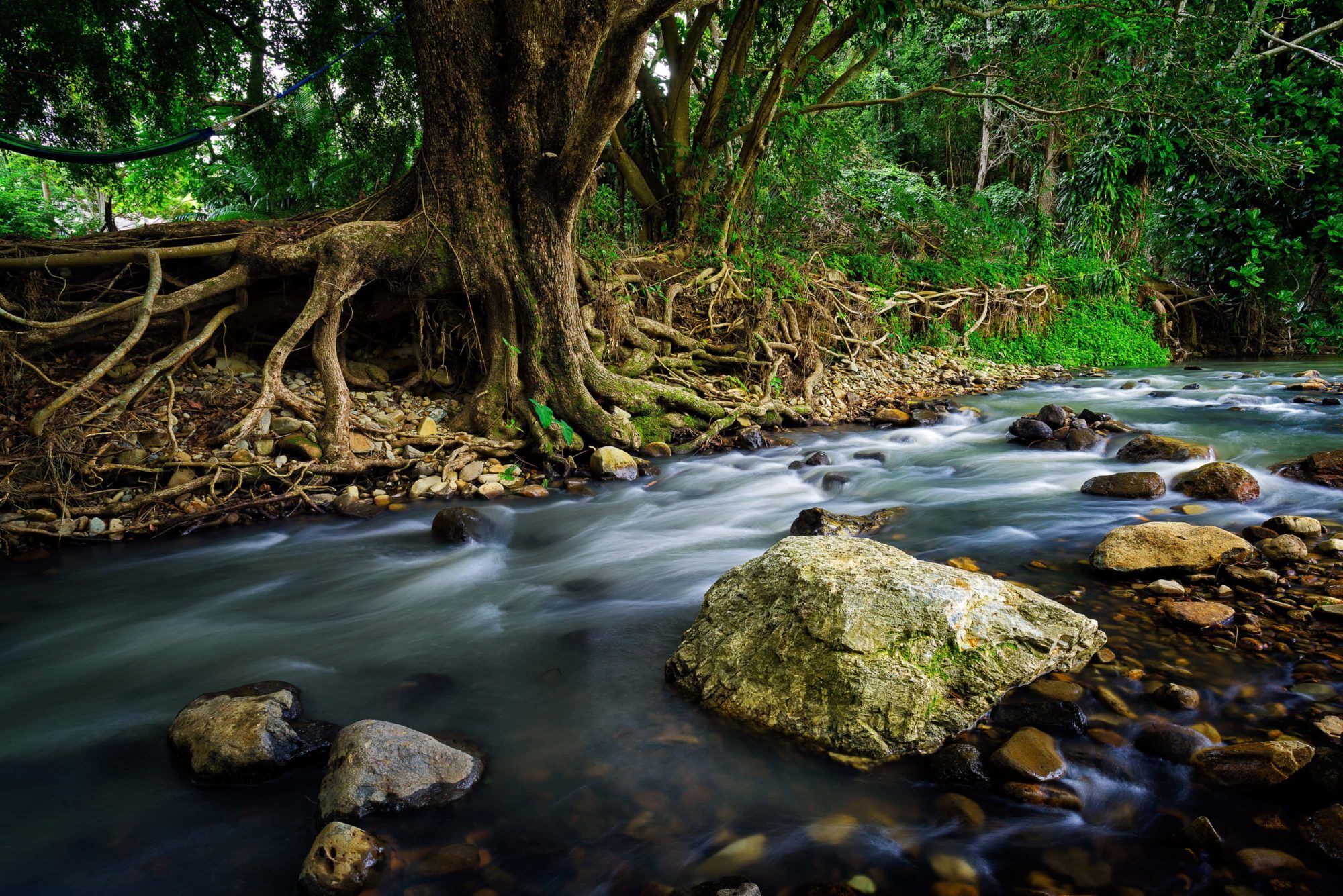 Currumbin Valley Address